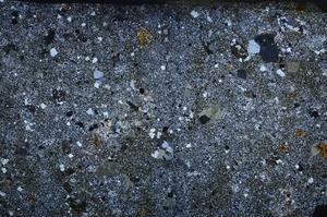 Cross Polarized, E58619