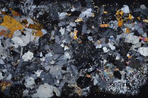 Cross Polarized, E58638/A