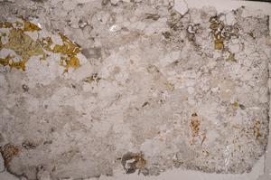 Plane Polarized, E58638/A