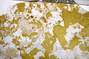 Plane Polarized, E58638/B