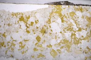 Plane Polarized, E58642/B