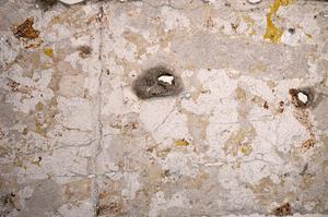 Plane Polarized, E58648/A