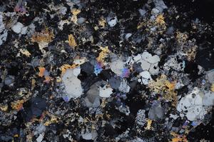 Cross Polarized, E58655/A