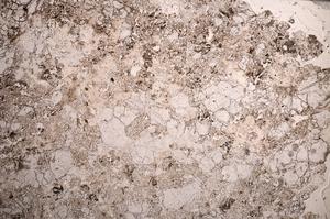 Plane Polarized, E58655/A