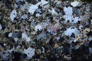 Cross Polarized, E58655/B