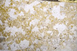 Plane Polarized, E58655/B