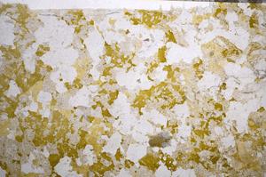 Plane Polarized, E58662/A
