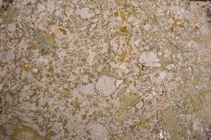 Plane Polarized, E58663