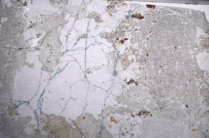 Plane Polarized, E58666