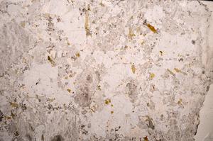 Plane Polarized, E58672