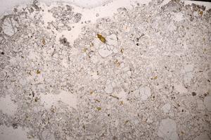 Plane Polarized, E58680