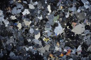 Cross Polarized, E58711