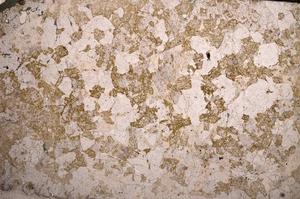 Plane Polarized, E58711