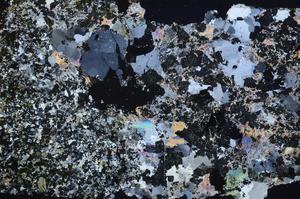 Cross Polarized, E58720