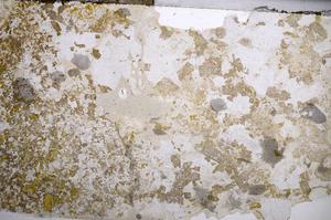 Plane Polarized, E58720