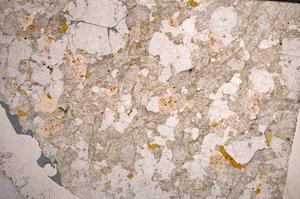 Plane Polarized, E58733/A