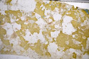 Plane Polarized, E58733/B