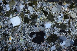 Cross Polarized, E58738