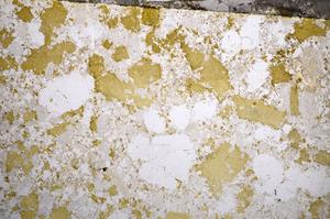 Plane Polarized, E58738