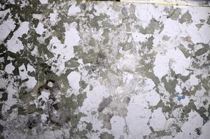 Plane Polarized, E58743
