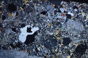 Cross Polarized, E58748