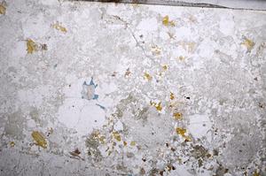 Plane Polarized, E58748