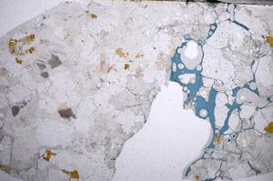 Plane Polarized, E58751