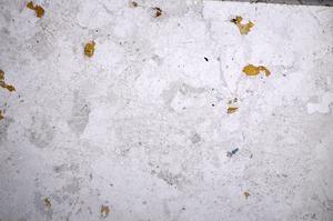 Plane Polarized, E58757