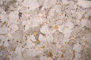 Plane Polarized, E58758/A