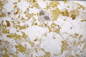 Plane Polarized, E58758/B