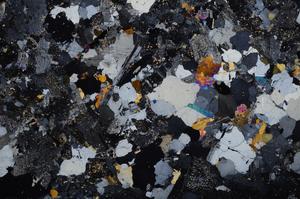 Cross Polarized, E58759