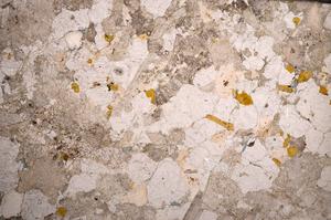 Plane Polarized, E58759