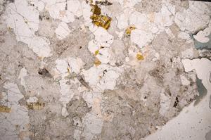 Plane Polarized, E58760