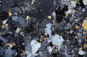 Cross Polarized, E58761