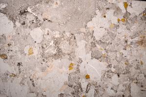 Plane Polarized, E58761