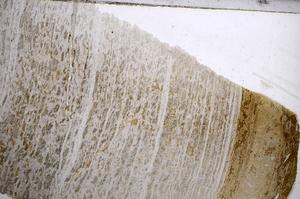 Plane Polarized, E58763