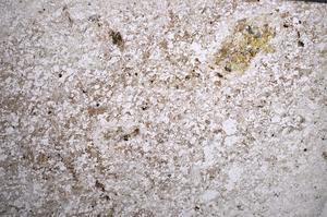 Plane Polarized, E58767/A