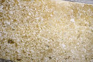 Plane Polarized, E58767/B