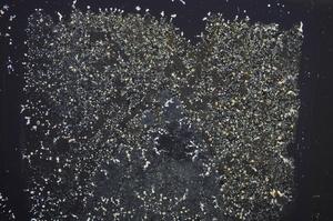 Cross Polarized, E58841