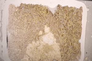 Plane Polarized, E58841