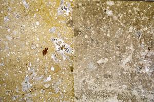 Plane Polarized, E58845