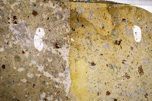 Plane Polarized, E58846