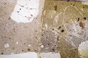 Plane Polarized, E58848