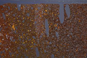 Cross Polarized, E58853