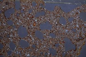 Cross Polarized, E58854