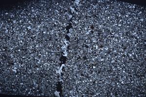 Cross Polarized, E58855