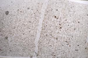 Plane Polarized, E58855