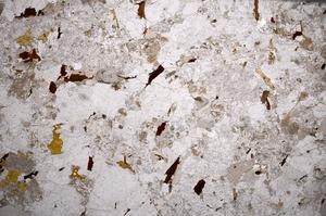 Plane Polarized, E58907/A