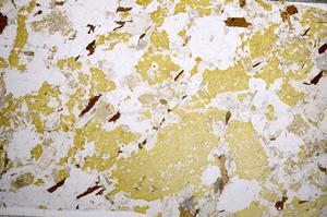 Plane Polarized, E58907/B