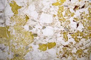 Plane Polarized, E58929